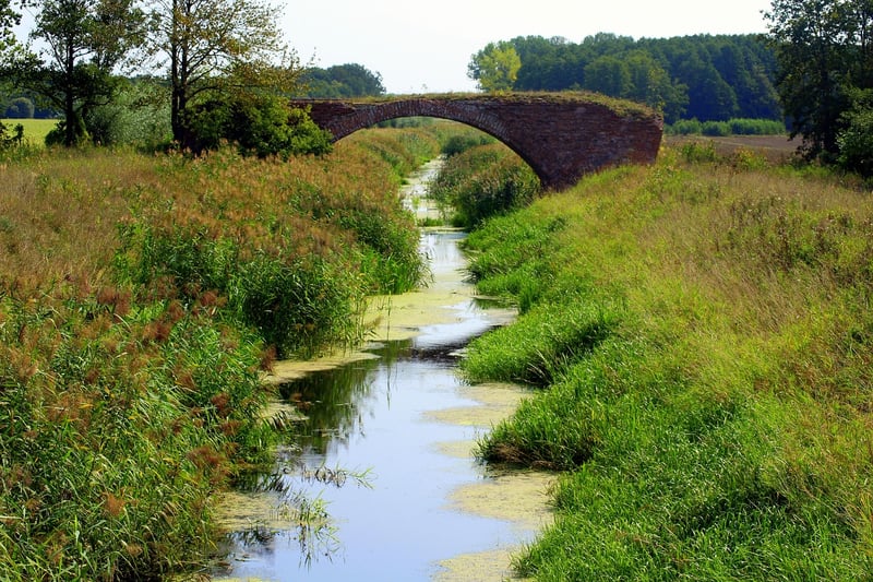 World War I Trenches